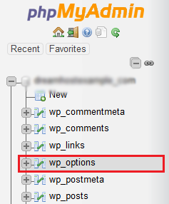 جدول wp_options در phpMyAdmin.