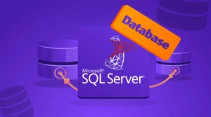 Microsoft SQL Server Database
