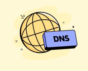 چگونه DNS دامنه را به صورت صحیح تنظیم کنیم(تنظیم DNS دامنه) 