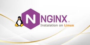 نحوه تنظیم و پیکربندی Nginx به عنوان وب سرور در هاست لینوکس