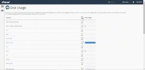 چگونه فضای دیسک هاستینگ خود را بهینهسازی کنیم؟
