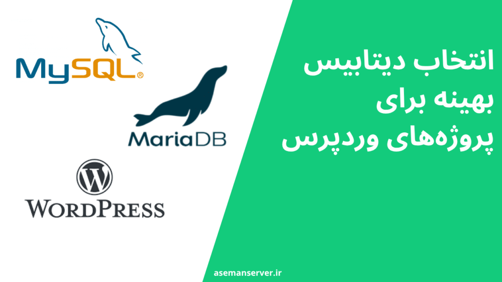 انتخاب دیتابیس بهینه برای پروژههای وردپرس