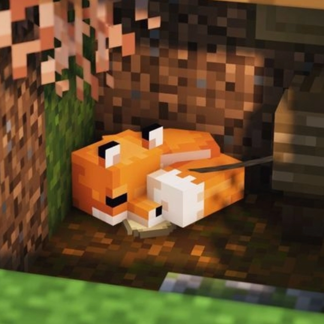 بهترین سرور ماینکرافت در سال 2025 | معرفی سریعترین سرورهای Minecraft ایران و خارج