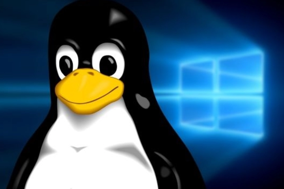 مقایسه هاست‌لینوکس و ویندوز برای وردپرس